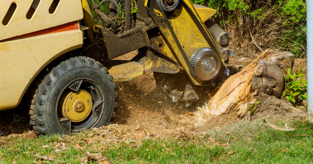 Stump Grinding New Orleans