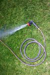 Garden hose watering lawn