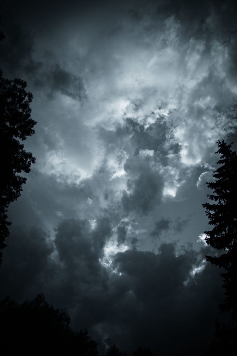 Storm clouds over trees