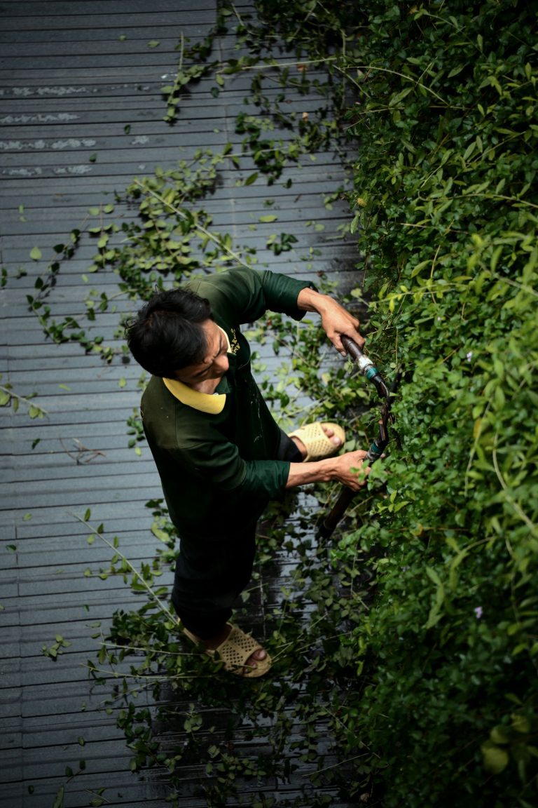 Trimming work aerial
