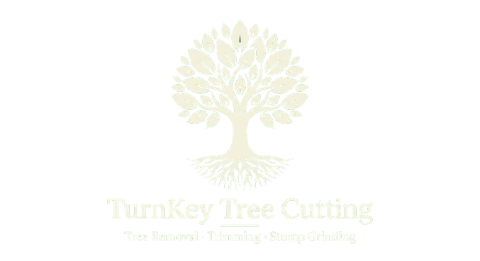 TurnKey Tree Cutting