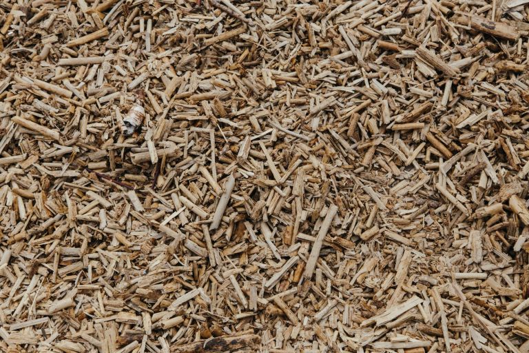 Wood chips after grinding