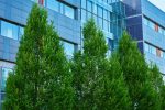 Green trees along the front of a modern commercial office building